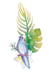 Watercolour bouquet green tropical leaf with parrot on white background.