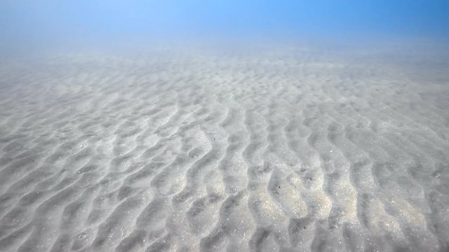 Swimming over rippled sandy sea bottom, 4K UHD video clip