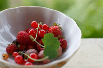 Berries