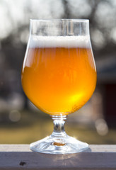 beer in tulip glass_centered