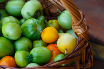 Tomatoes in the basket