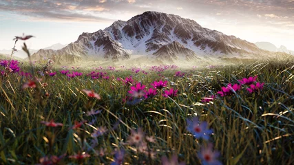 Blumenwiese im Gebirge © lassedesignen
