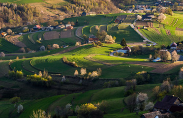 Fototapeta na wymiar Spring fields in Hrinova, Slovakia