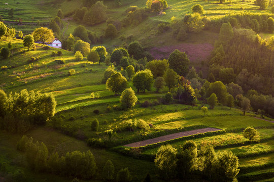 Spring terrace fields in Slovakia