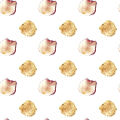 Seamless repeating pattern with watercolor dried rose petals isolated on white background