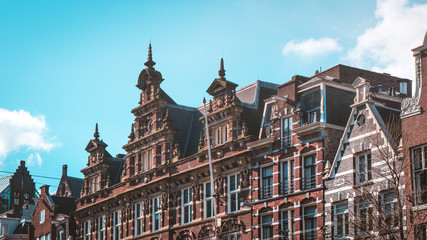 Naklejka premium Roofs in Amsterdam