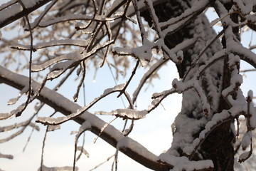 Spring Snow, End of Winter, Blue Sky