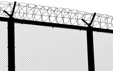 Silhouette of barbed wire fence at the border. Isolated on white.