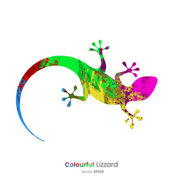 Color Splat Animals - Lizard