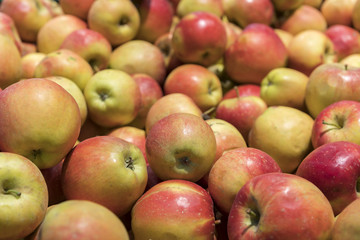 Many red apples in mall on sale closeup shot natural color image. Healthy and natural foods with high fiber content.