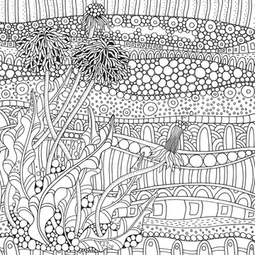 Dandelion flower. Adult Coloring book page. Black and white vector illustration. Doodle, hand drawn, art, herbal, botanical sketch.