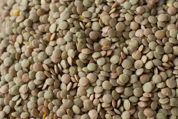 green lentils macro