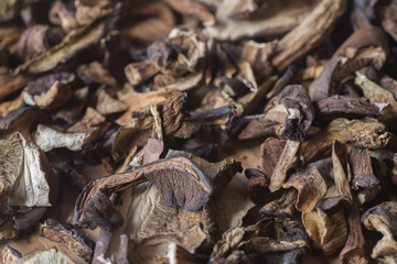 dried mushrooms macro