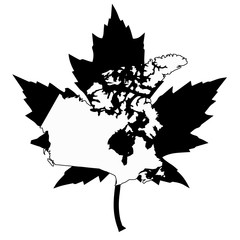 map of Canada on maple leaf background. vector illustration