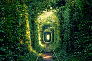 Tunnel of Love near Klevan, Ukraine