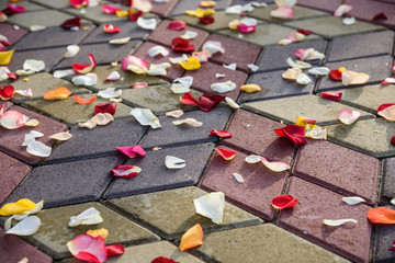 Rose petals on the pavement, wedding day, traditions