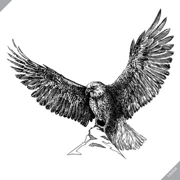 black and white engrave isolated eagle vector illustration