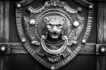 Details, structure and ornaments of forged iron gate. Decorative ornamen with lions , made from metal. Vintage metallic pattern. Decorative elements as a background