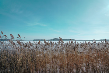 winter landscape and trees in the hoarfrost, sunny winter landscape, turquoise blue sunny sky, ice, white background