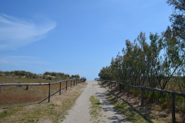 Fototapeta na wymiar Włochy, droga na plażę nad Adriatykiem, Punta Sabbioni
