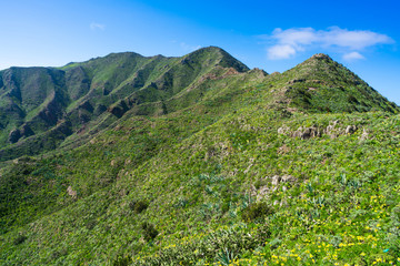 Fototapeta na wymiar Macizo de Teno mountains in Tenerife; Canary Islands