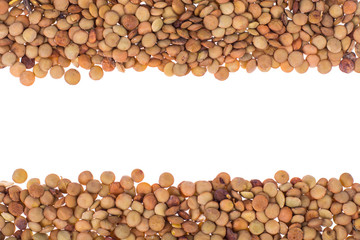 Scattering of lentils on white background closeup