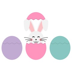 rabbit in the  Easter egg