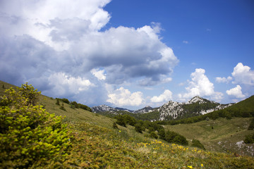 Obraz premium Velebit mountain landscape