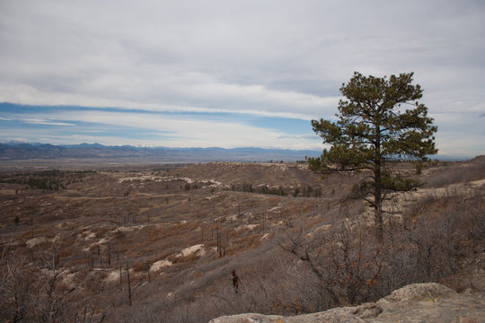 Highlands Ranch Colorado Landscape