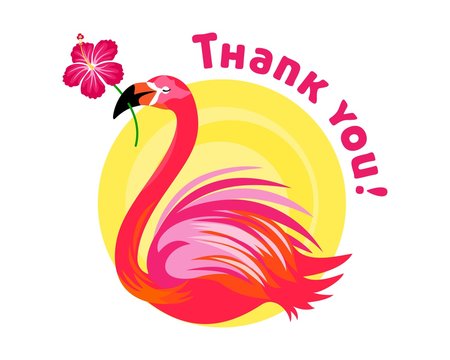 Thank you Flamingo Illustration - Powered by Adobe