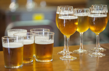 Glasses and glass chalices of beer over bar counter