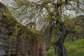 Antique Historic town, Staiti , Reggio Calabria