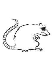 ratte böse gruselig cool sonnenbrille