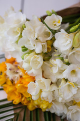 Obraz na płótnie Canvas White freesia flower