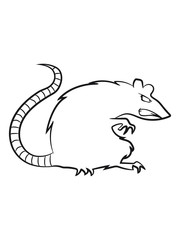 ratte böse gruselig cool