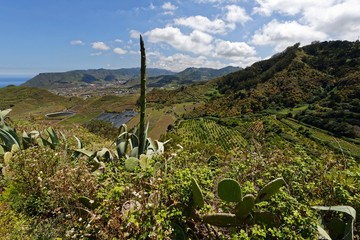 Teneriffa - Valle Guerra
