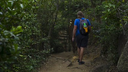man hiking in a forest