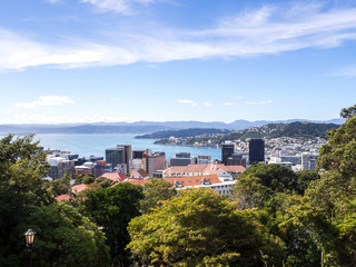 Fototapeta na wymiar Wellington Landscape Harbour, The Capital City of New Zealand