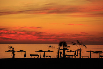 Fototapeta na wymiar seashore in sunset sun with palm trees