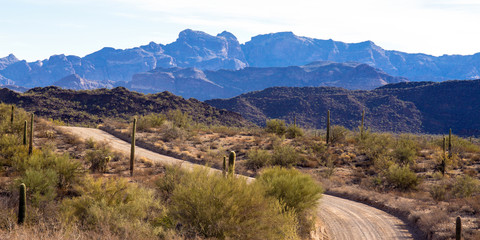 Dawn on the main road into Organ Pipe Cactus National Monument in southern Arizona, showing the Ajo...