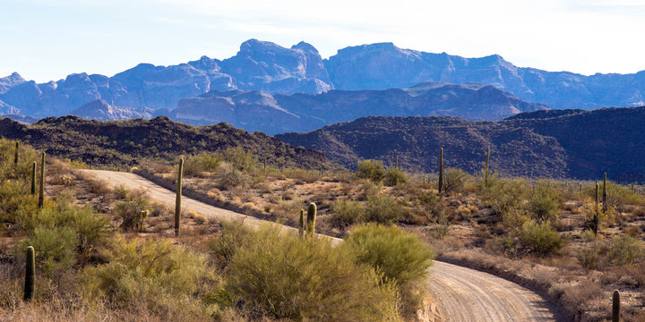 Dawn on the main road into Organ Pipe Cactus National Monument in southern Arizona, showing the Ajo Mountains