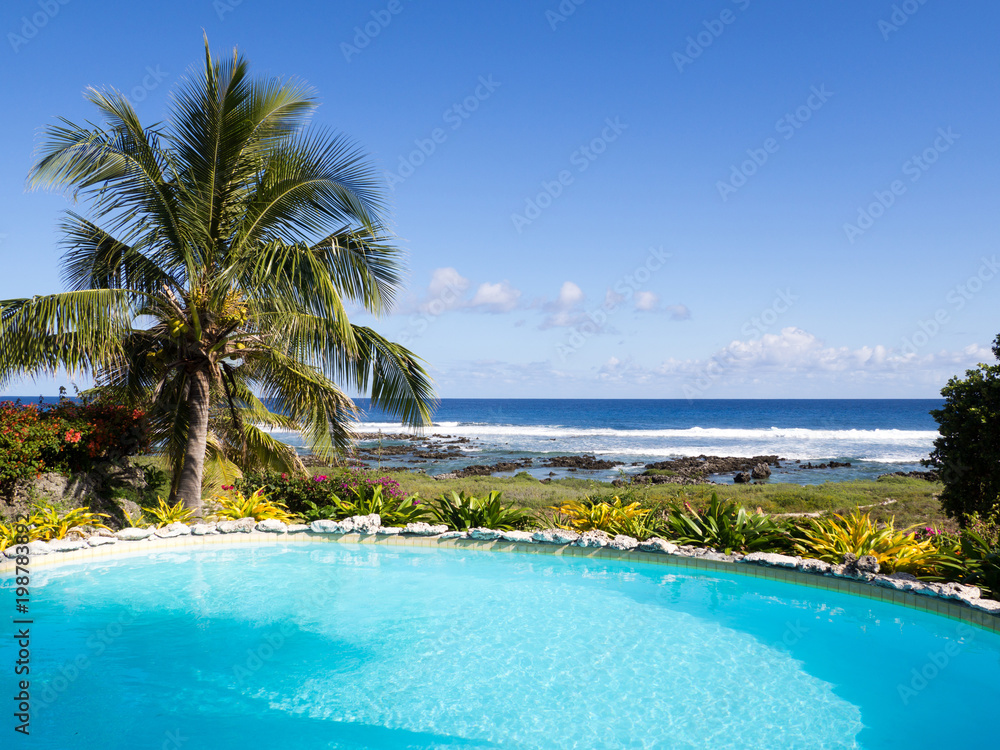 Wall mural ocean view from swimming pool with palm trees