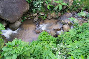 top view of small stream nature in country