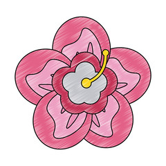 Beautiful flower cartoon vector illustration graphic design