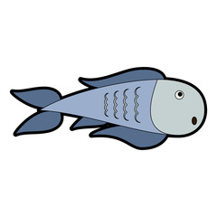 Fish seafood cartoon vector illustration graphic design