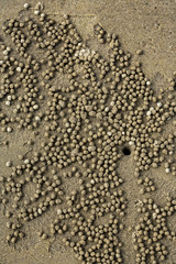 sand hole