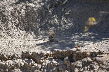 Paila hirviendo de volcán