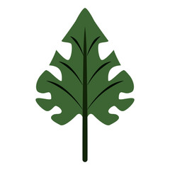 Leaf eco symbol vector illustration graphic design