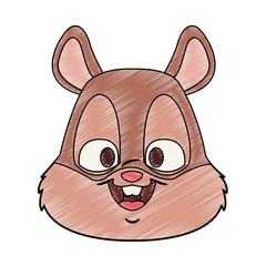 Cute squirrel cartoon vector illustration graphic design