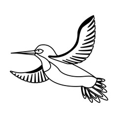 bird animal feathers wildlife
